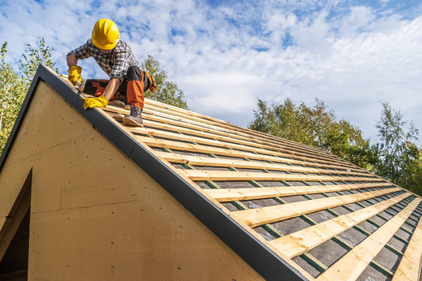 Roof Gutter Cleaning in Hudsonville, MI