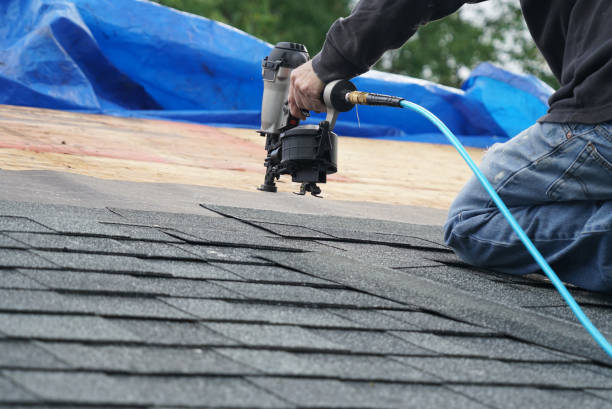 Best Roof Maintenance Services  in Hudsonville, MI