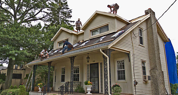 Best Roof Gutter Cleaning  in Hudsonville, MI